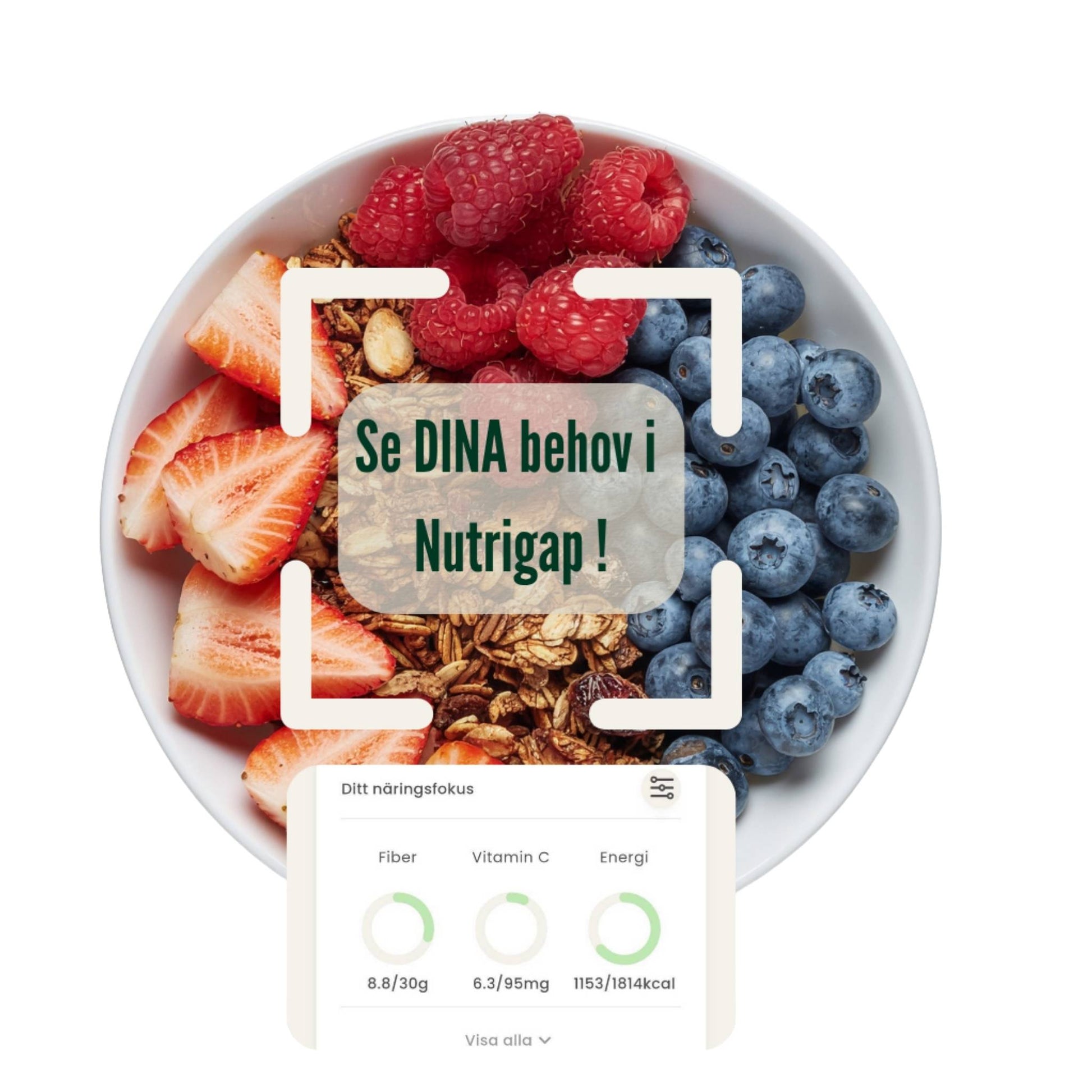 Nutrigap Premium app