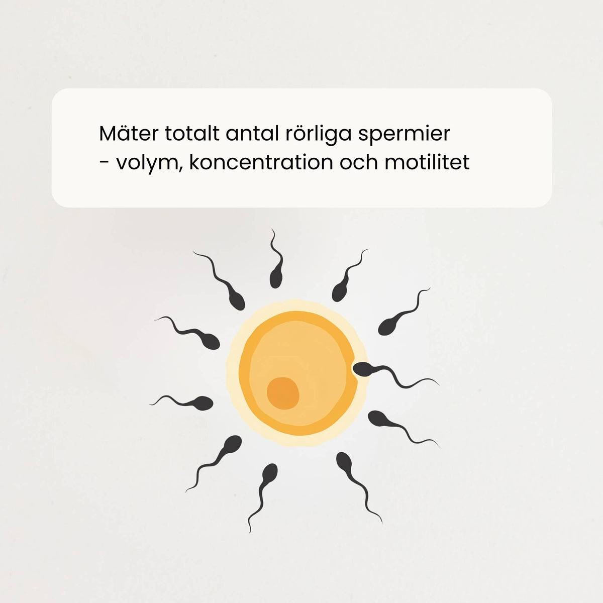 Startkit Fertilitet Par